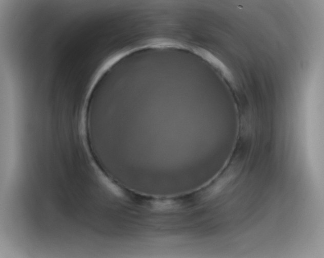 X0000115511231200911131334