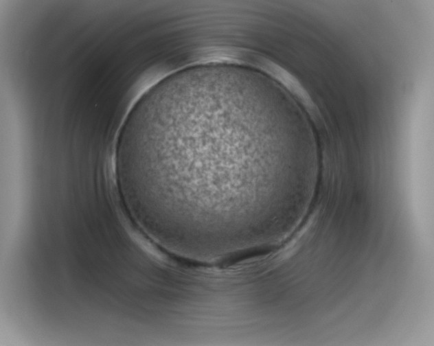 X0000115511234200911131334