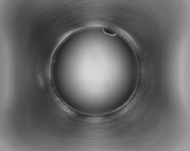 X0000115511236200911131334