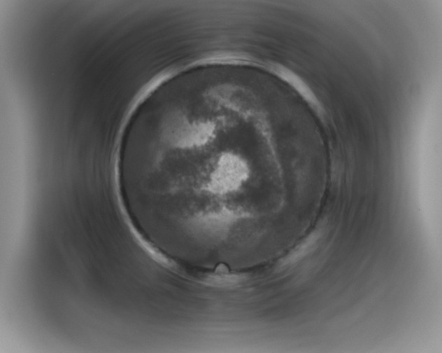 X0000115511237200911131334