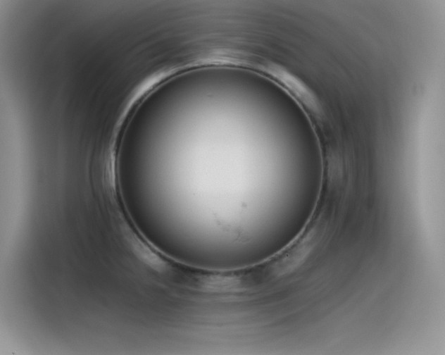 X0000115511238200911131334