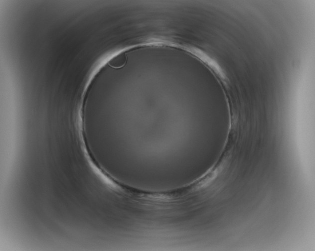 X0000115511239200911131334