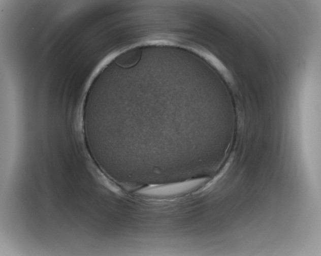 X0000115511240200911131334