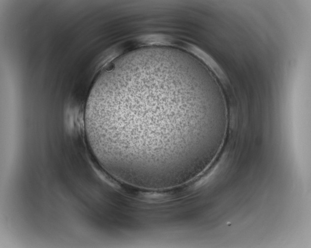 X0000115511241200911131334