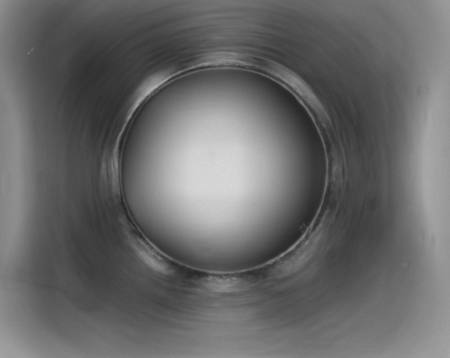 X0000115511242200911131334