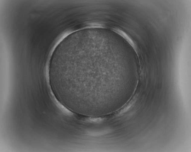 X0000115511243200911131334