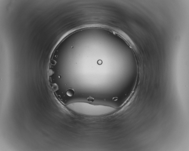 X0000115511244200911131334