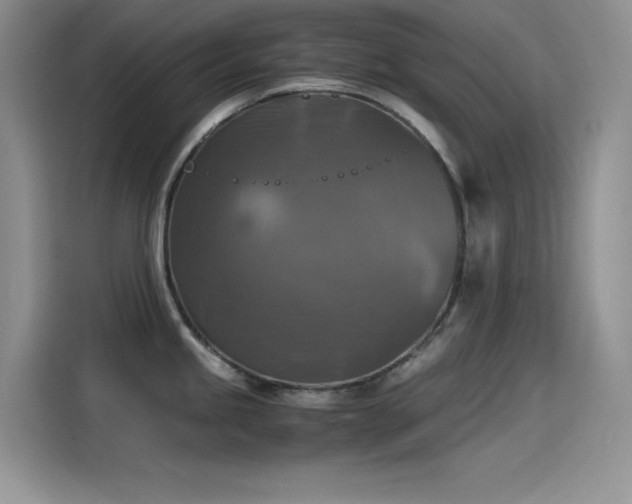 X0000115511245200911131334