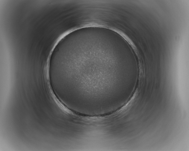 X0000115511246200911131334