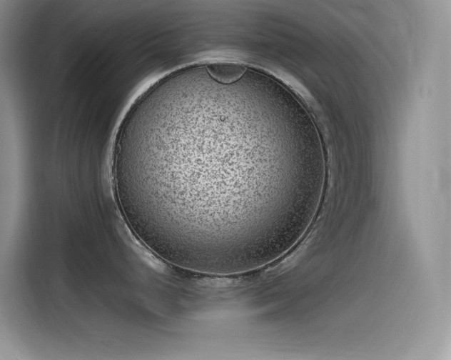 X0000115511248200911131335