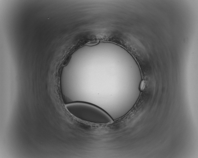 X0000115511249200911131334