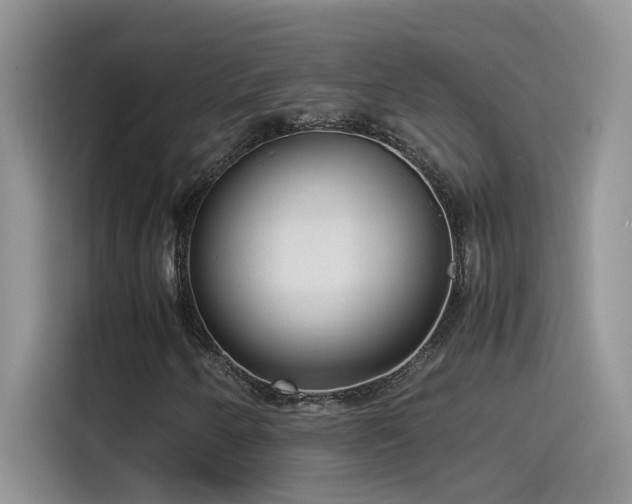 X0000115511250200911131334