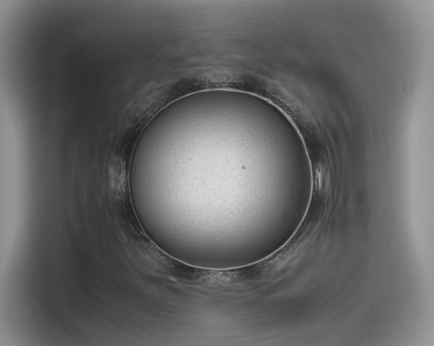 X0000115511251200911131334