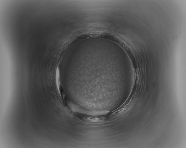 X0000115511252200911131334