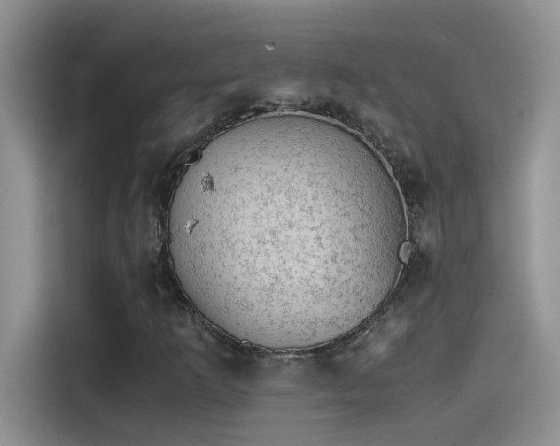 X0000115511253200911131334