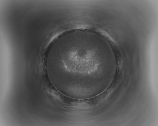 X0000115511256200911131334