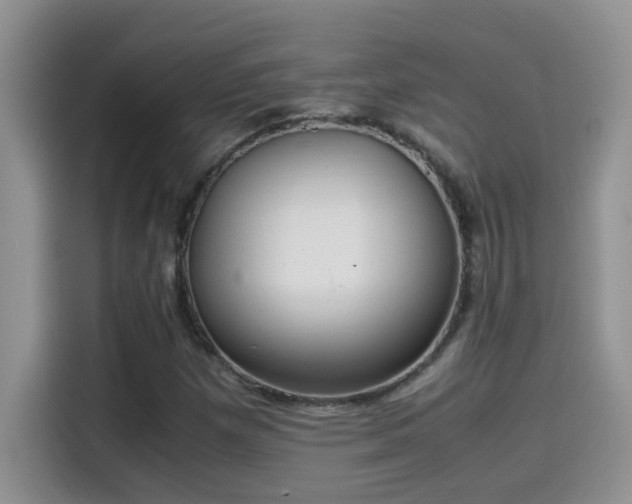 X0000115511257200911131334