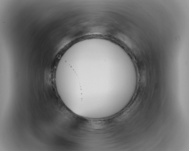 X0000115511258200911131334