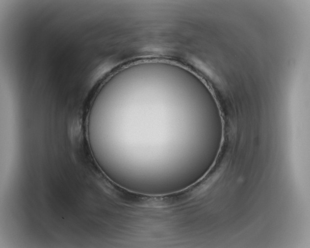 X0000115511259200911131334