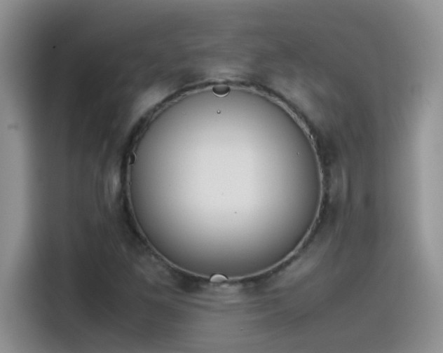 X0000115511261200911131334