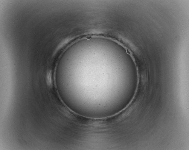 X0000115511262200911131334