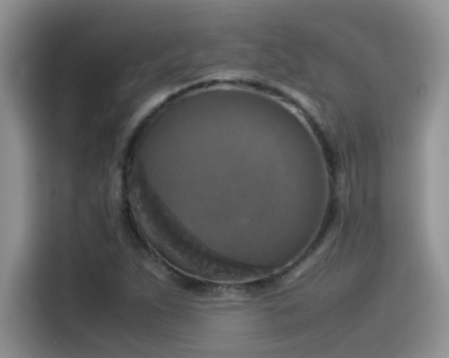 X0000115511263200911131334