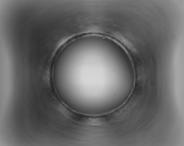 X0000115511264200911131334