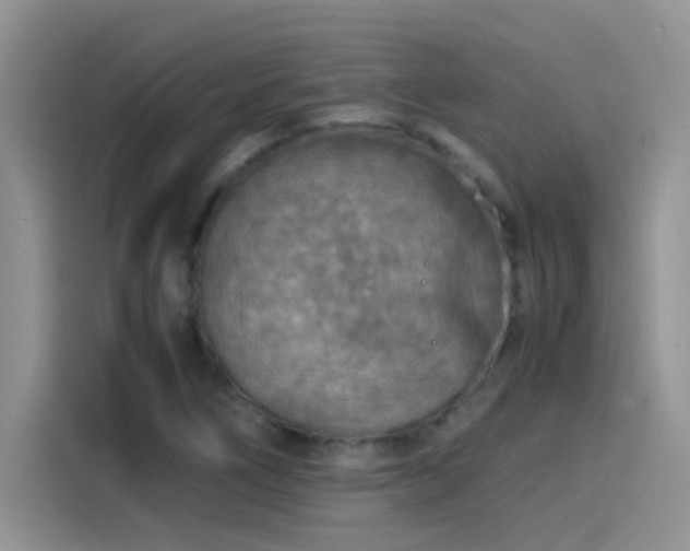 X0000115511266200911131334