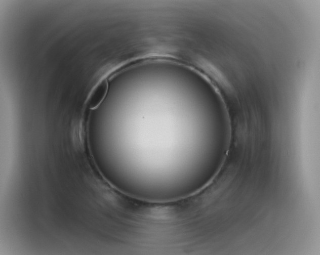 X0000115511268200911131334