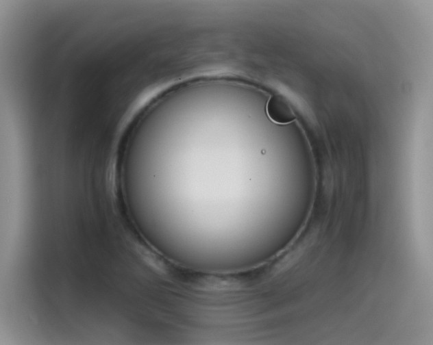 X0000115511270200911131334