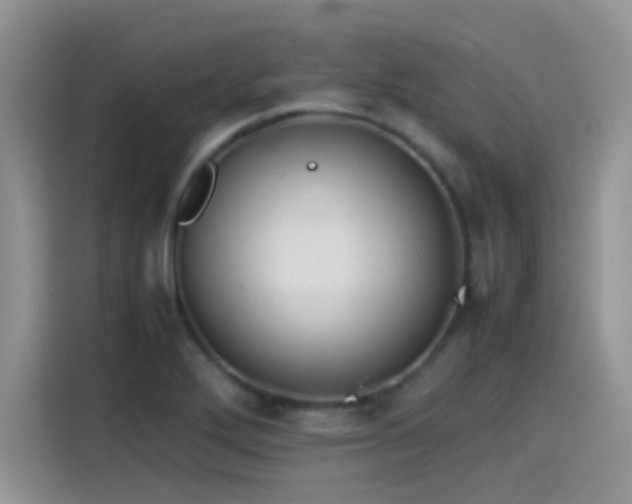 X0000115511272200911131334