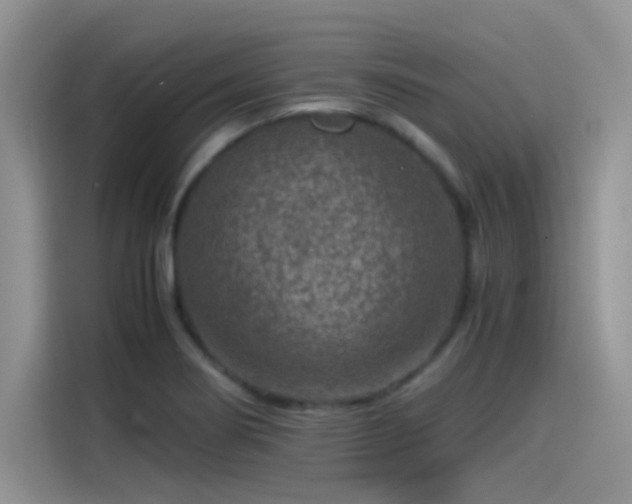 X0000115511274200911131334