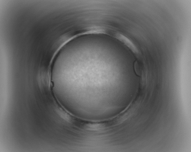 X0000115511276200911131334