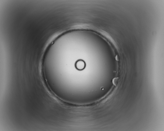 X0000115511277200911131334