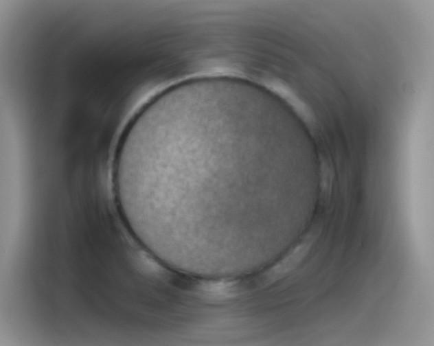 X0000115511278200911131334