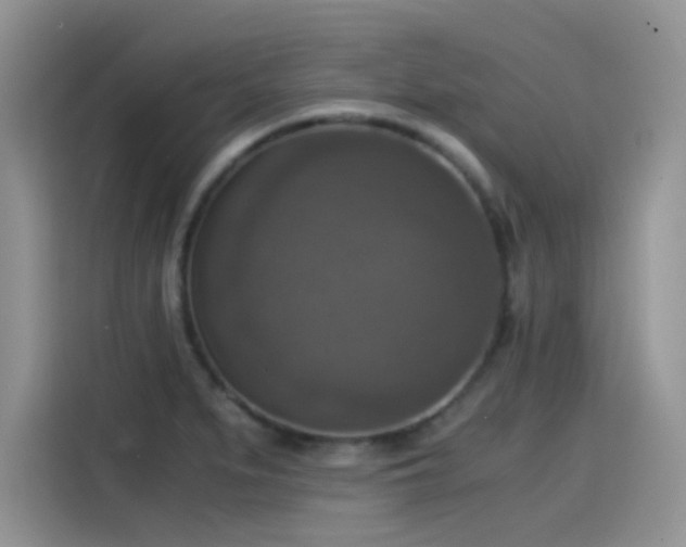 X0000115511279200911131334