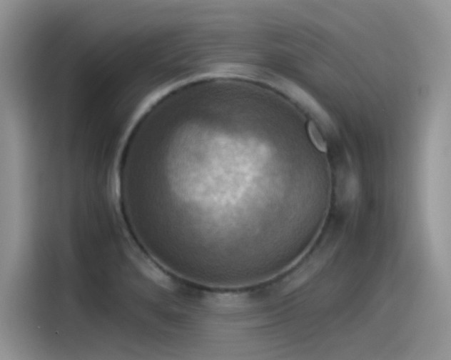 X0000115511280200911131333