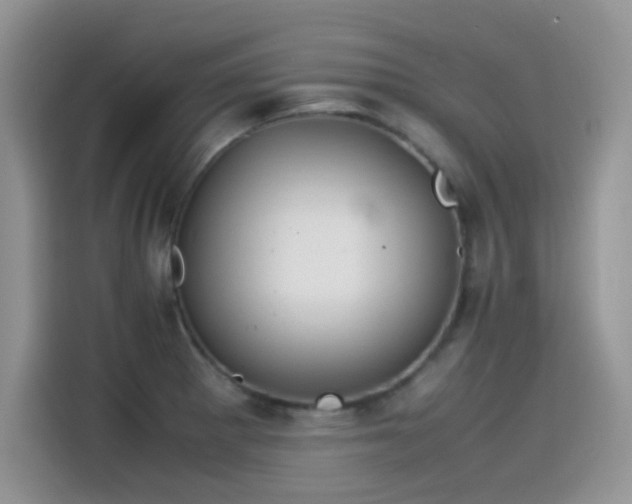 X0000115511281200911131333