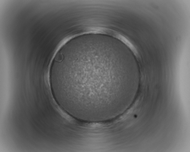 X0000115511283200911131333