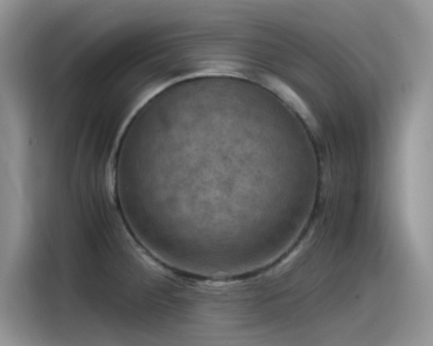 X0000115511284200911131333