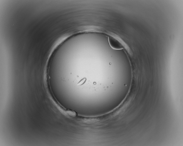 X0000115511285200911131333