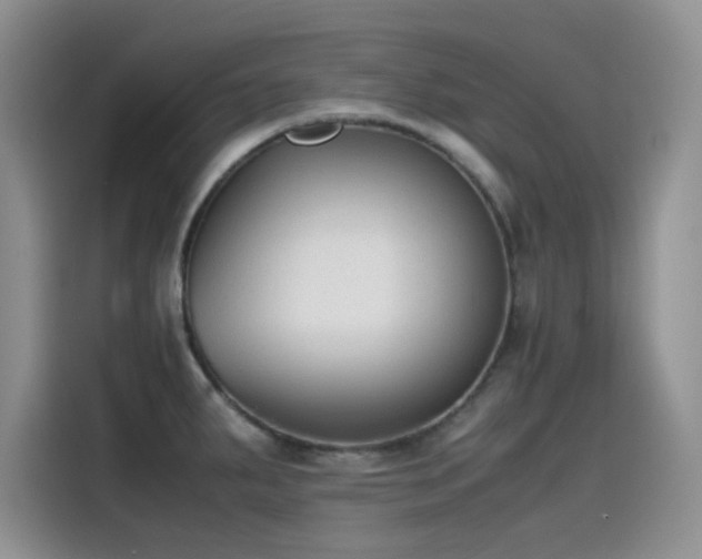 X0000115511287200911131333