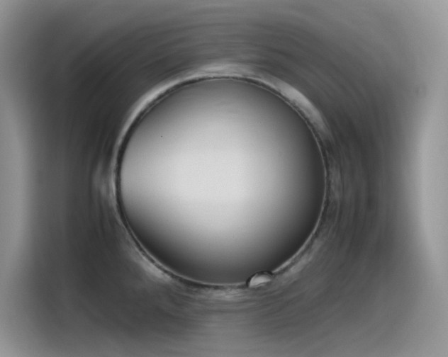 X0000115511288200911131333