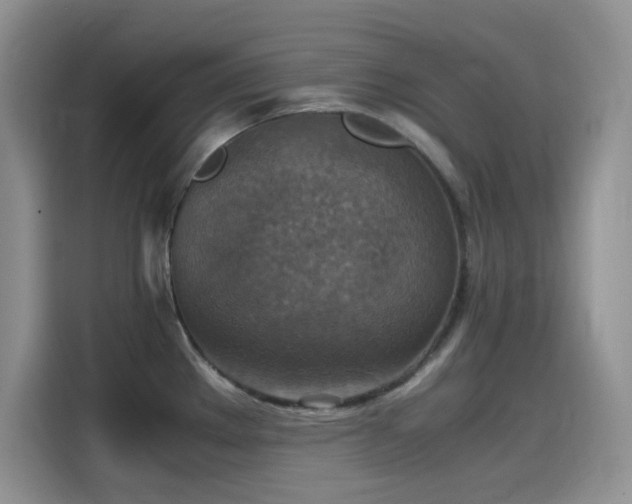 X0000115511289200911131333