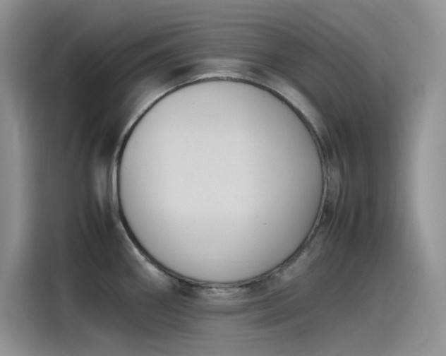 X0000115511290200911131333