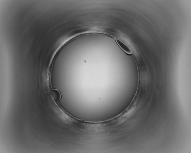 X0000115511292200911131333