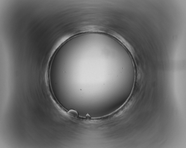 X0000115511293200911131333