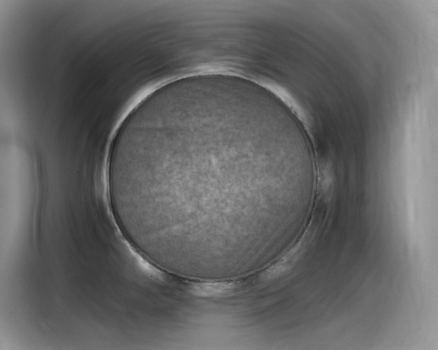 X0000115511294200911131333