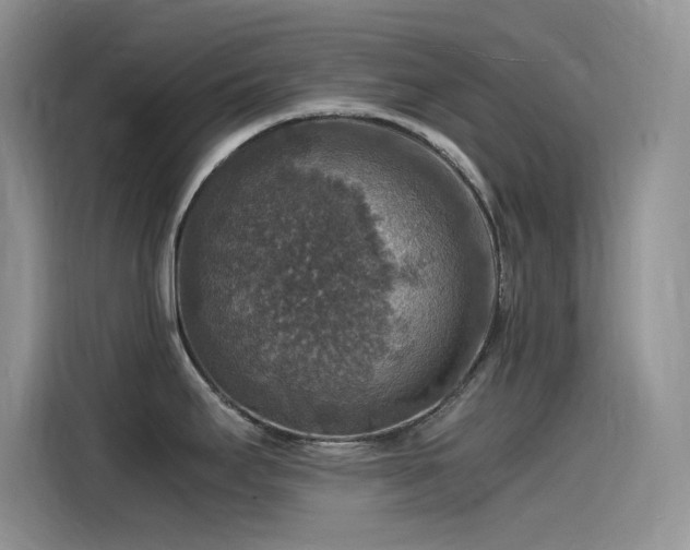 X0000115511295200911131333