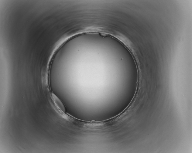 X0000115511296200911131333